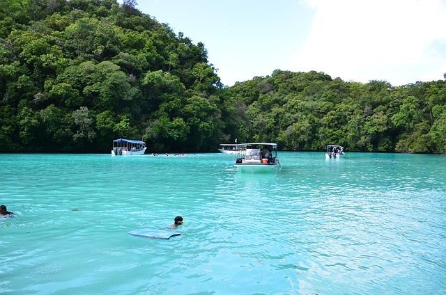 Palau: Ein tropisches Taucherparadies in Mikronesien