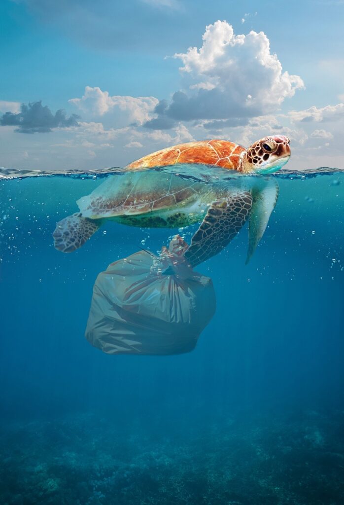Schildkröte mit Plastikmüll